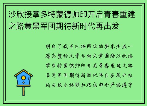 沙欣接掌多特蒙德帅印开启青春重建之路黄黑军团期待新时代再出发 沙欣接掌多特蒙德帅印开启青春重建之路黄黑军团期待新时代再出发